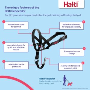 HALTI Headcollar Size 1 Black, UK Bestselling Dog Head Harness to Stop Pulling on the Lead, Easy to Use, Padded Nose Band, Adjustable & Reflective, Professional Anti-Pull Training Aid for Small Dogs