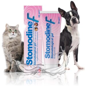 ICF | Stomodine F | Cat & Dog Toothpaste | Meat Flavour | Fights Plaque & Bad Breath | Healthy Dental Oral Hygiene | Easy to Use Teeth Cleaner for Pets