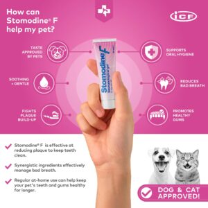 ICF | Stomodine F | Cat & Dog Toothpaste | Meat Flavour | Fights Plaque & Bad Breath | Healthy Dental Oral Hygiene | Easy to Use Teeth Cleaner for Pets