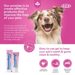 ICF | Stomodine F | Cat & Dog Toothpaste | Meat Flavour | Fights Plaque & Bad Breath | Healthy Dental Oral Hygiene | Easy to Use Teeth Cleaner for Pets