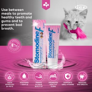 ICF | Stomodine F | Cat & Dog Toothpaste | Meat Flavour | Fights Plaque & Bad Breath | Healthy Dental Oral Hygiene | Easy to Use Teeth Cleaner for Pets