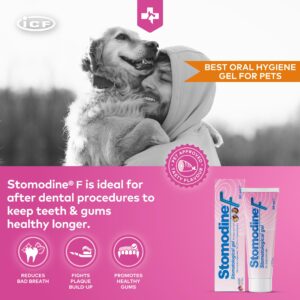 ICF | Stomodine F | Cat & Dog Toothpaste | Meat Flavour | Fights Plaque & Bad Breath | Healthy Dental Oral Hygiene | Easy to Use Teeth Cleaner for Pets