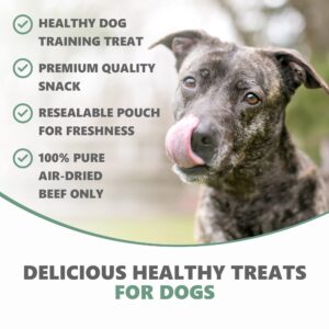 Pets Purest Dog Treats Beef Strips UK - 100% Natural Air-Dried Chews for Dogs, Puppy & Senior. Pure Healthy Hypoallergenic Grain, Gluten & Lactose Free Raw Pet Food Sticks - 100g