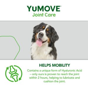 YuMOVE Senior Dog | High Strength Joint Supplement for Older, Stiff Dogs with Glucosamine, Chondroitin, Green Lipped Mussel | Aged 9+ | 120 Tablets,Package may vary