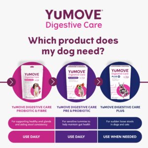 YuMOVE Digestive Care for All Dogs | Previously YuDIGEST | Probiotics for Dogs with Sensitive Digestion, All Ages and Breeds | 120 Tablets