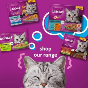 Whiskas Tasty Duo 1+ Meaty Combos in Jelly 48 x 85 g Pouches, Adult Cat Food, Pack of 4 (12 x 85 g)