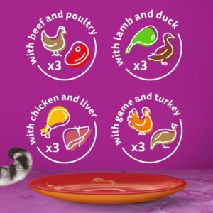 Whiskas Tasty Duo 1+ Meaty Combos in Jelly 48 x 85 g Pouches, Adult Cat Food, Pack of 4 (12 x 85 g)